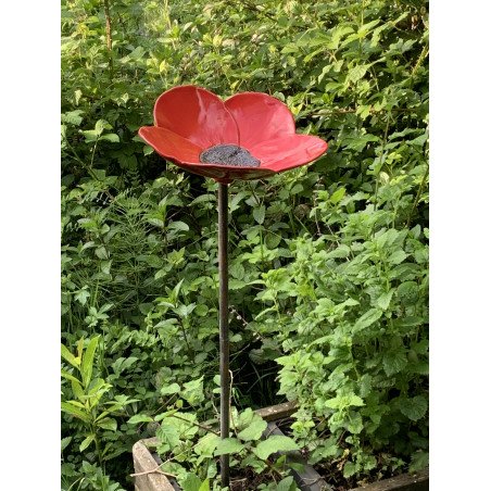 Bain d'oiseaux Coquelicot