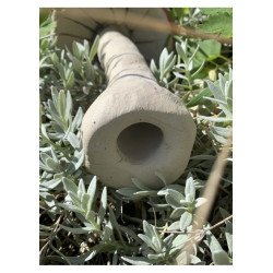 copy of Elfin Mushroom
