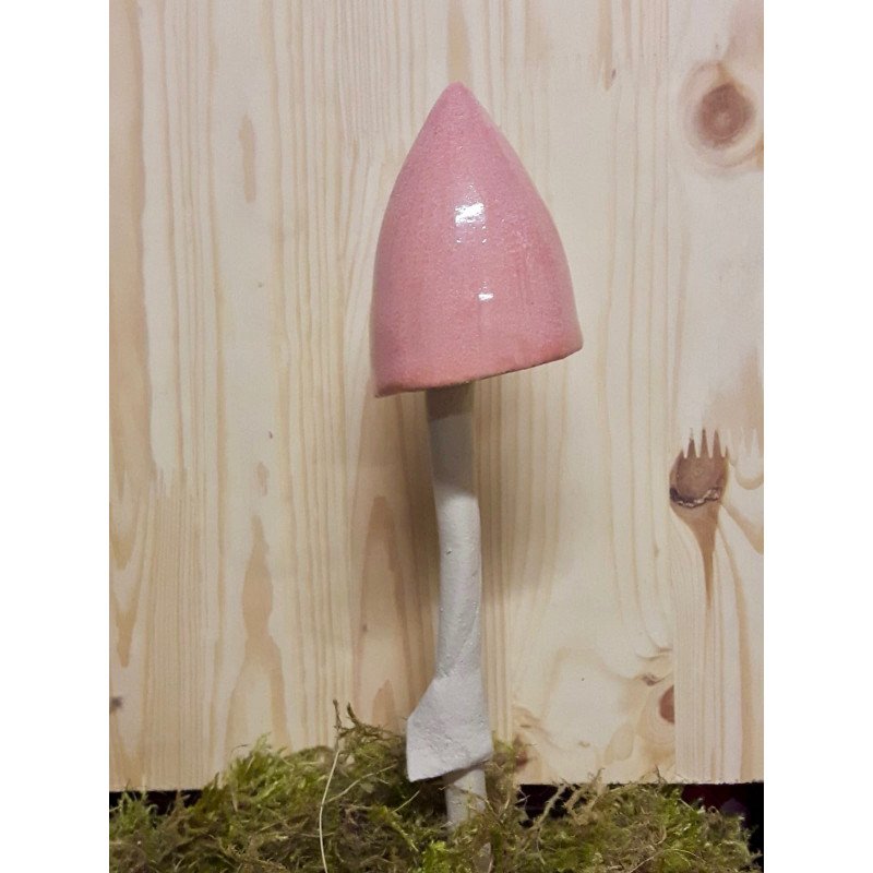 Champignon rose Champignon rose