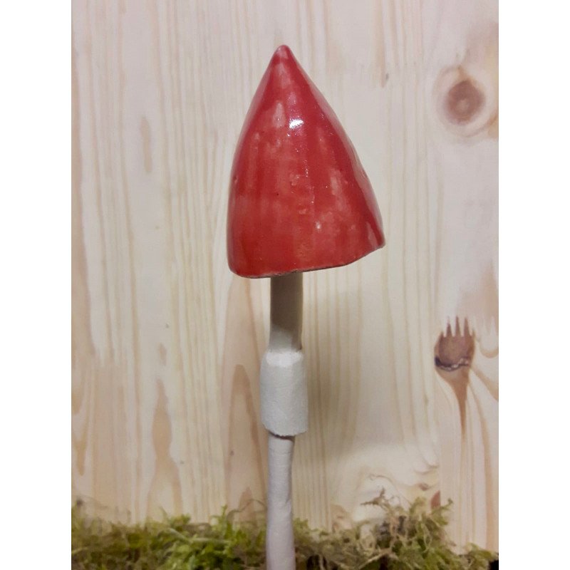 Champignon rose Champignon rose