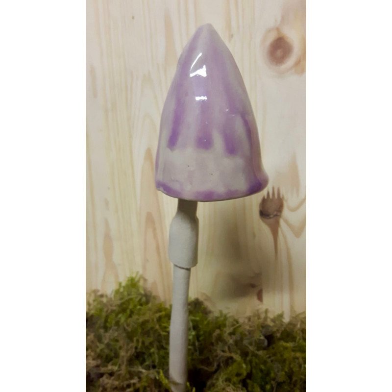 Champignon violet Champignon violet